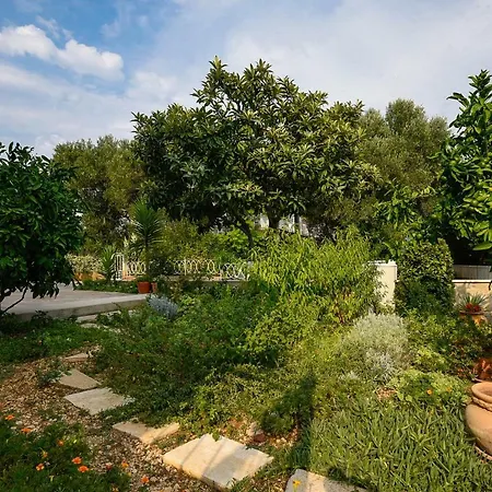 Andrija * أوروبيتش